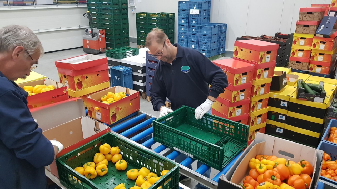 About Bouman Stichting