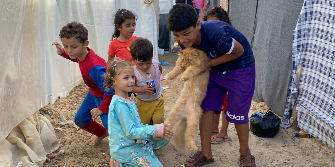 Our pet-friendly shelters ensure no one has to choose between safety and their animal companion Our pet-friendly shelters ensure no one has to choose between safety and their animal companion